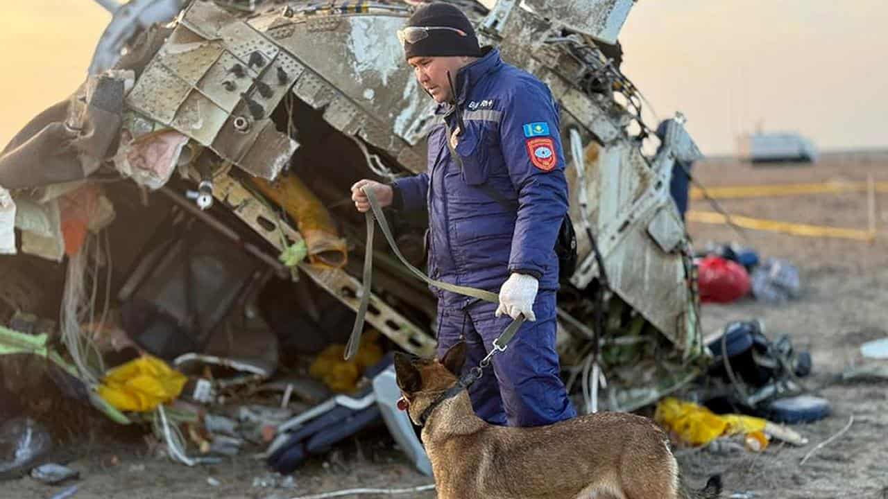 Rescuer and a dog at the crash site.