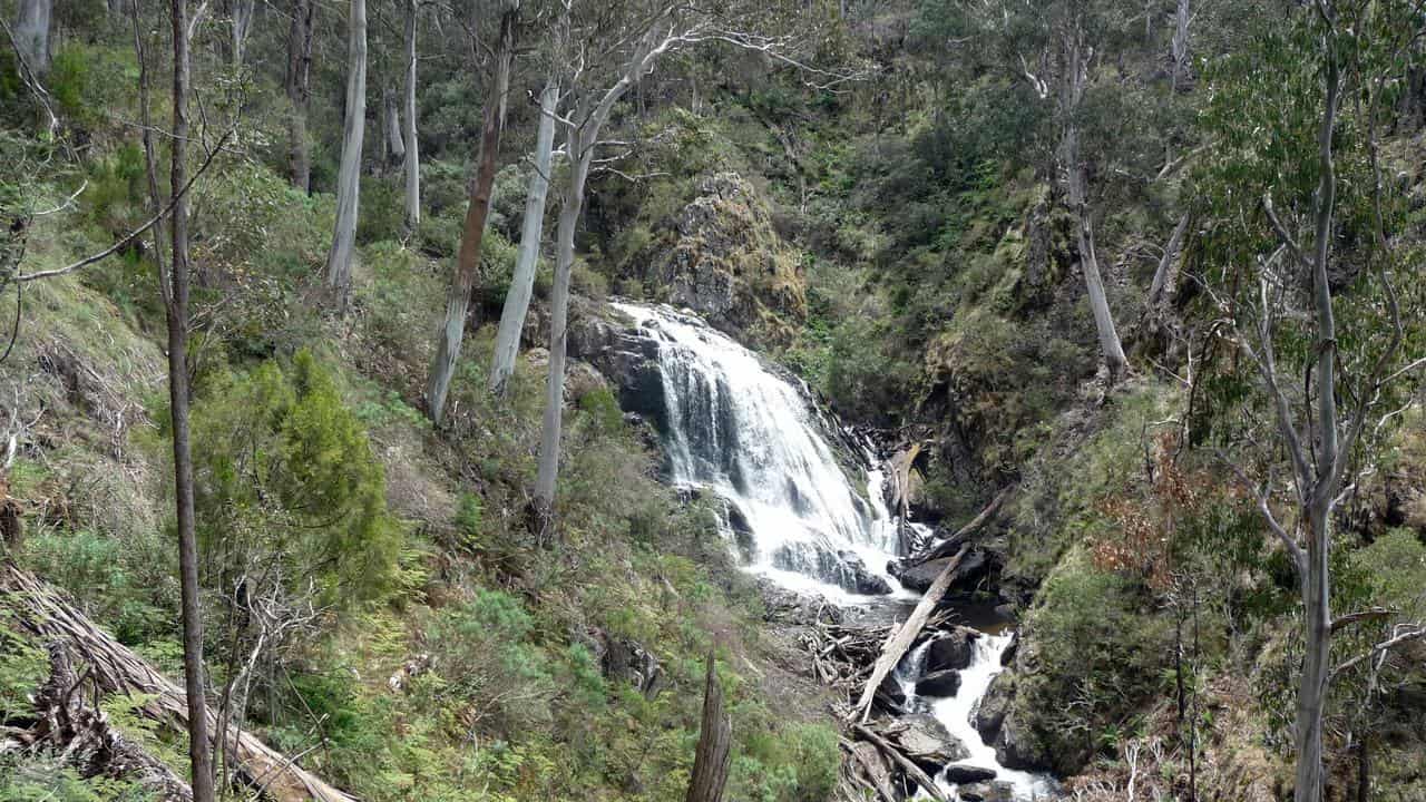 A waterfall in Kosciuszko National Park (file image)