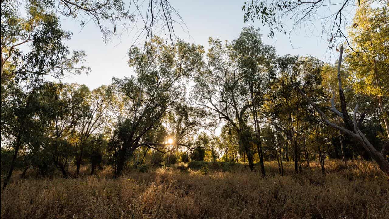 Fitzroy River National Park