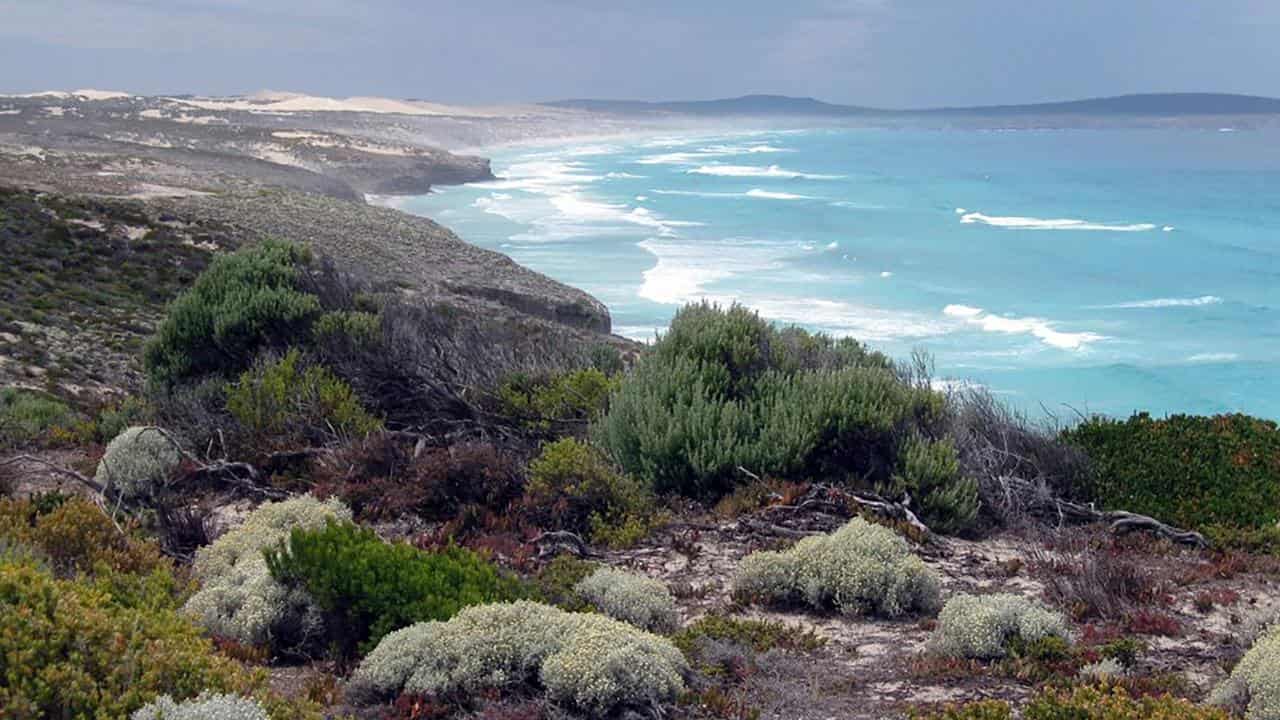 The rugged coastline within Lincoln National Park on Eyre Peninsula