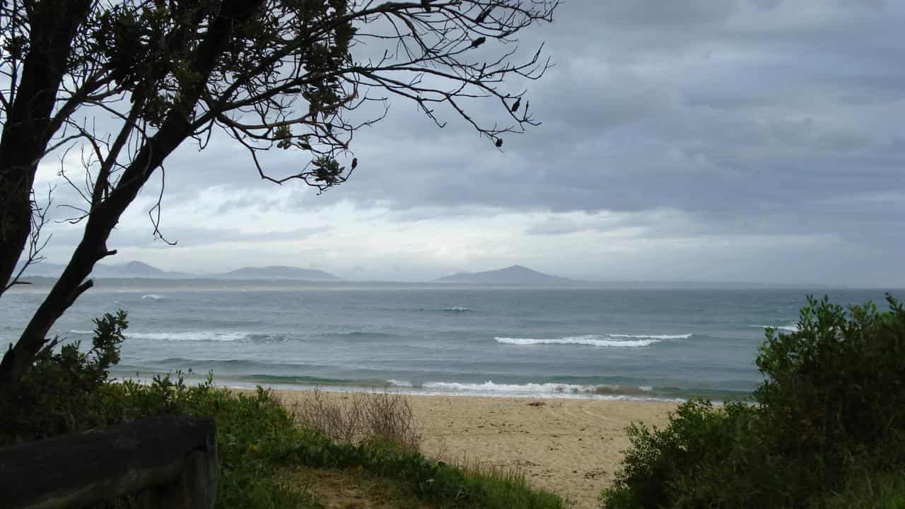 Scotts Head Beach