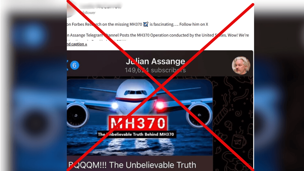 Screenshot of fake Julian Assange account shared on social media.