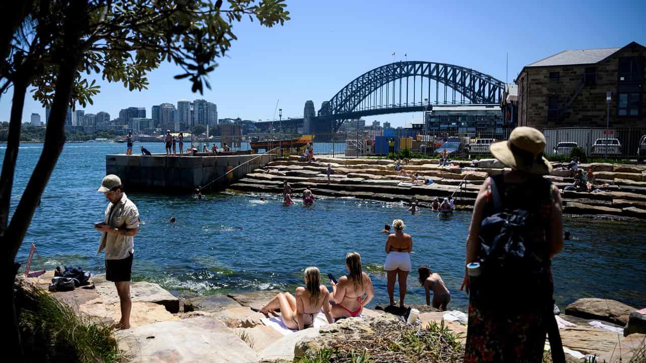 Swimming and sitting in the sun at Barangaroo in Sydney