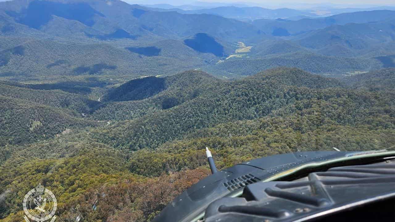 Crews search for a missing bushwalker