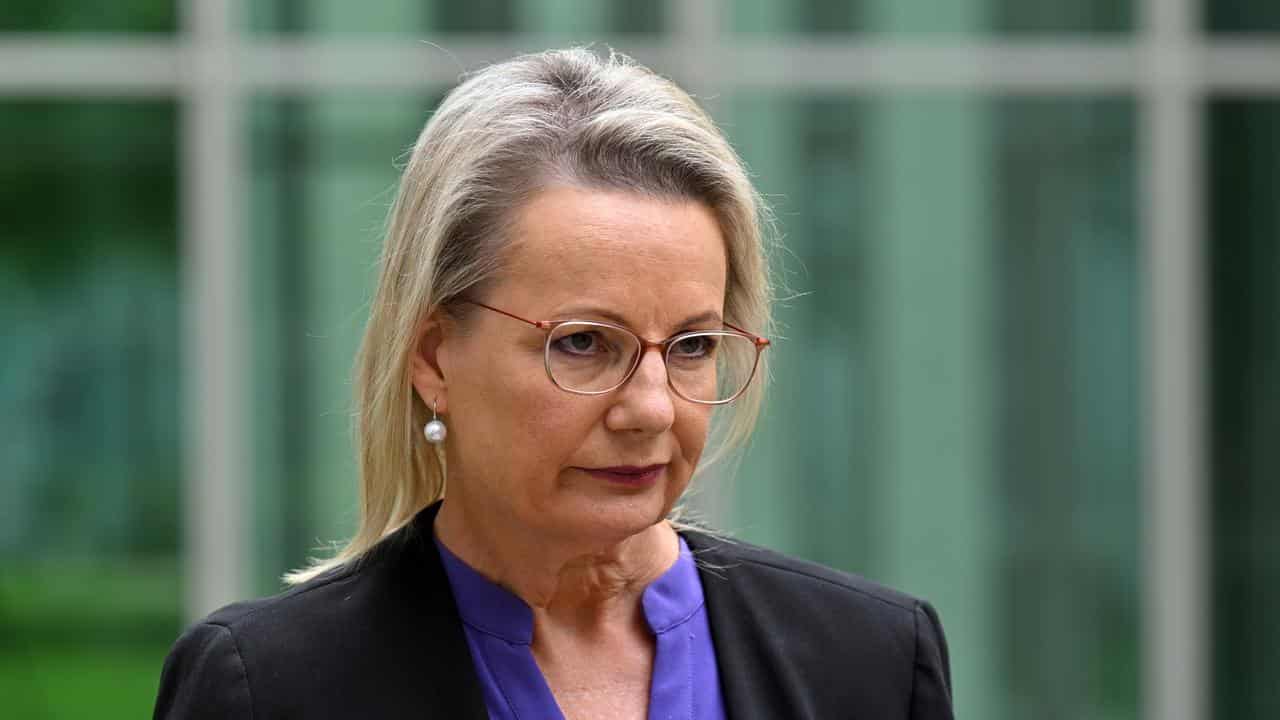 Deputy Leader of the Opposition Sussan Ley.