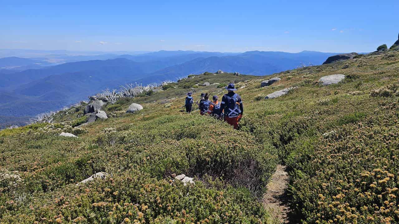 Searchers looking for missing bushwalker