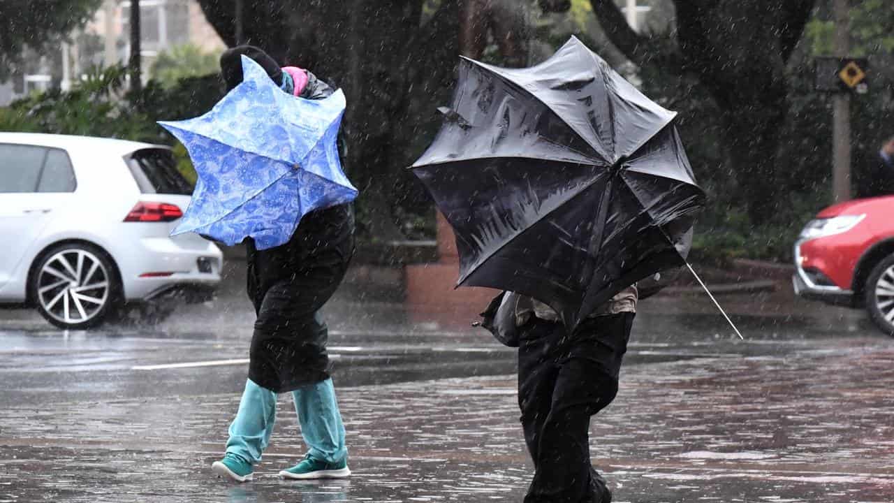 People hold umbrellas as they walk in heavy rain (file image)