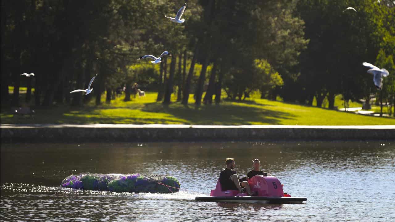 Plastic bottles in Lake Burley Griffin