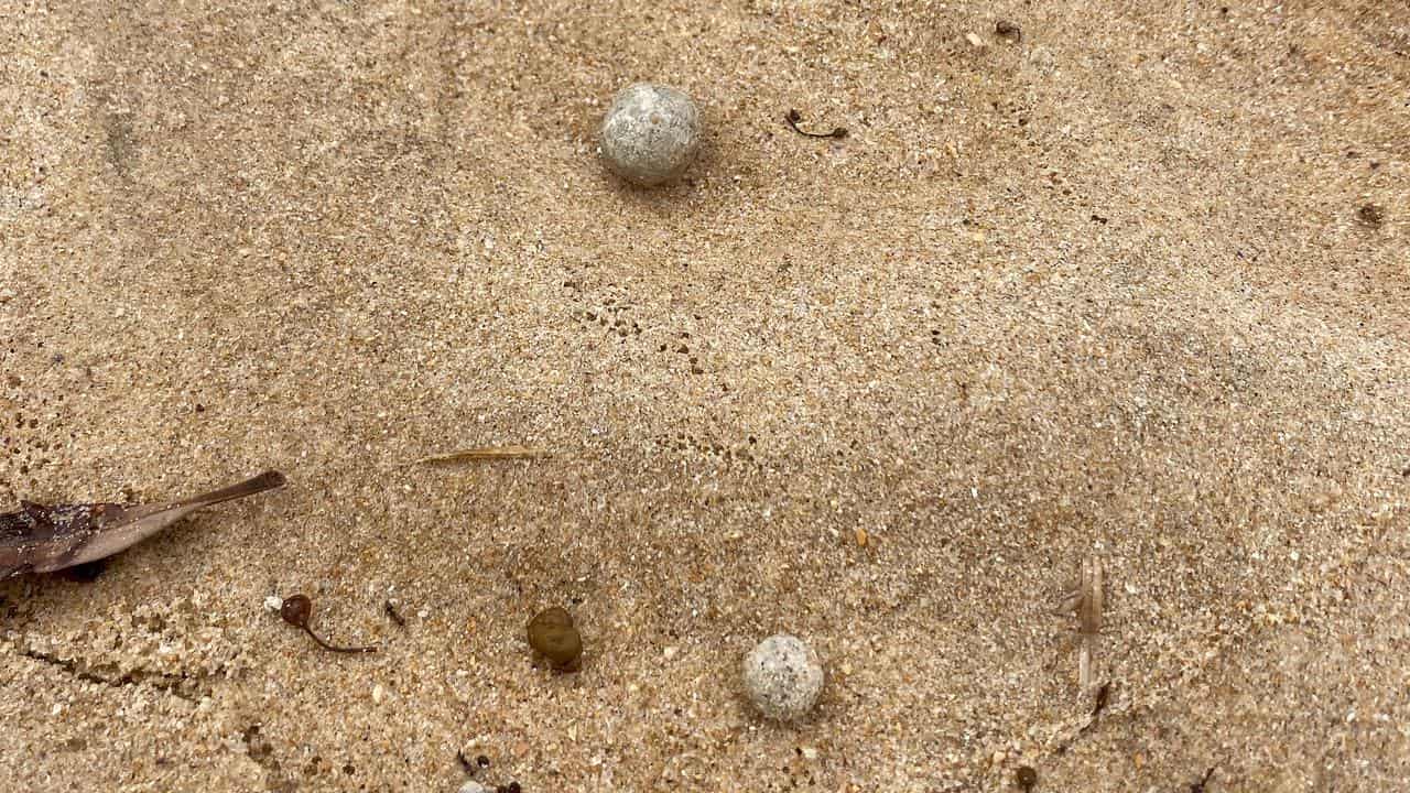 A supplied image of ball-shaped debris found at NSW beaches 