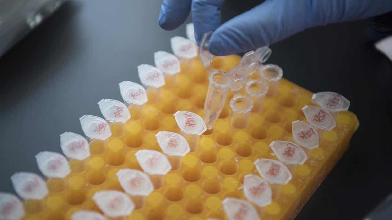 Genetic testing on eggs.