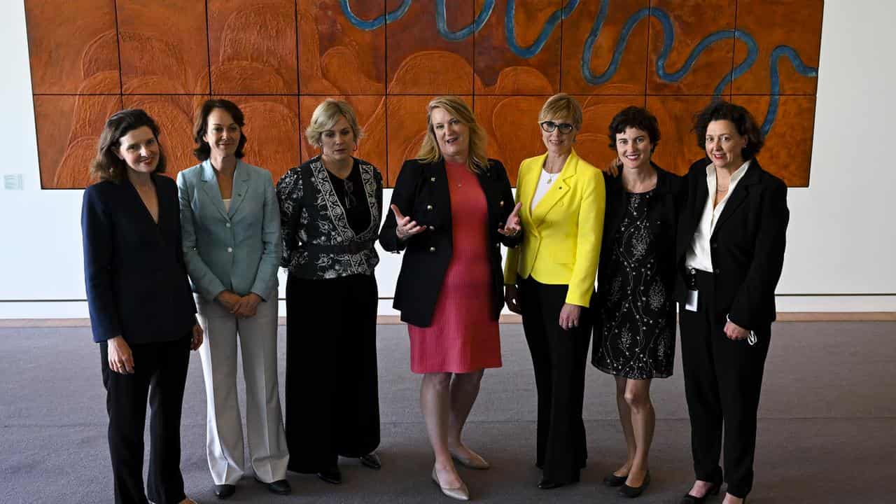 Independent federal MPs known as teals pose for a photo