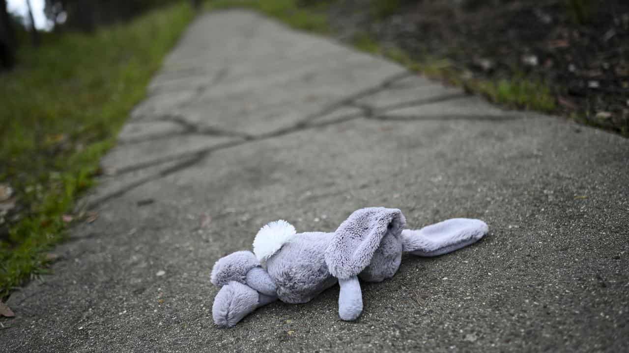 Abandoned child's toy seen on a path