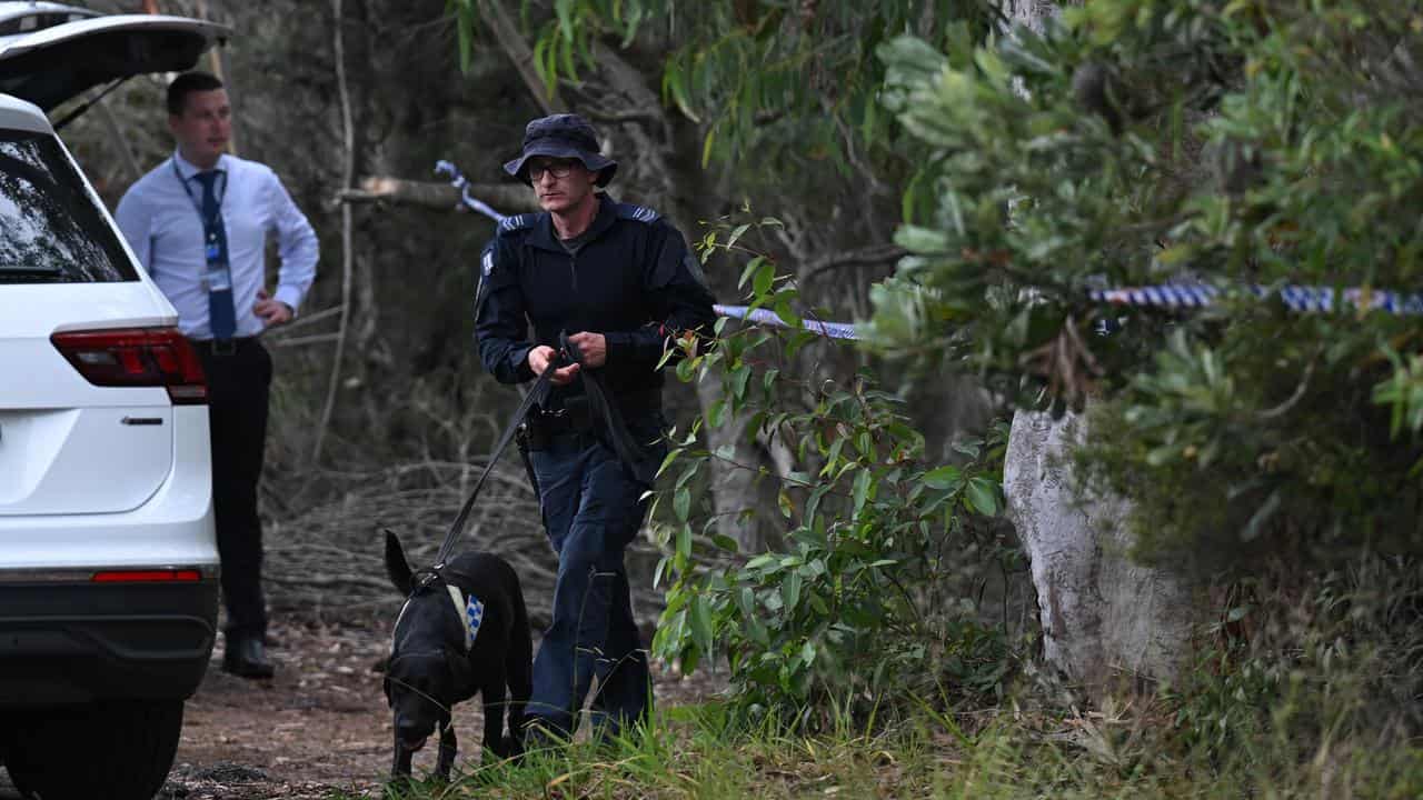 NSW police search bushland southwest of Sydney