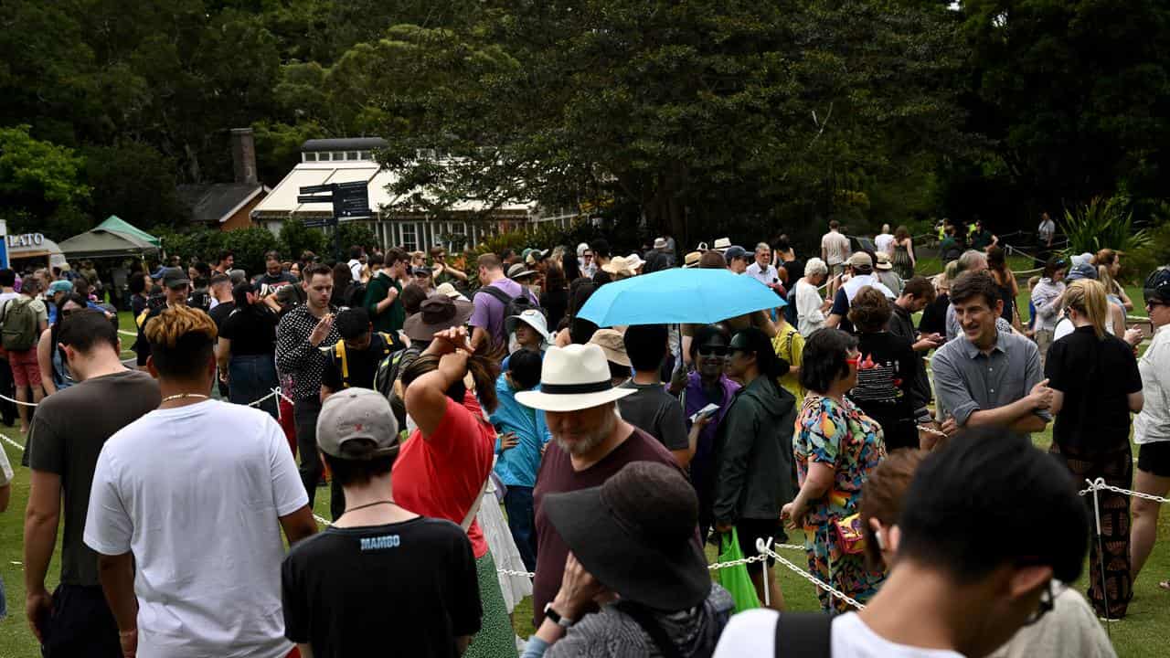 People queue to get a glimpse of the rare corpse flower