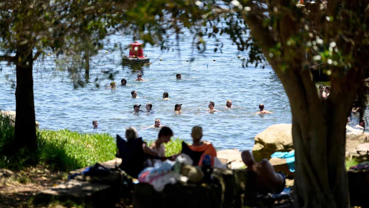 Swimmers at Barangaroo