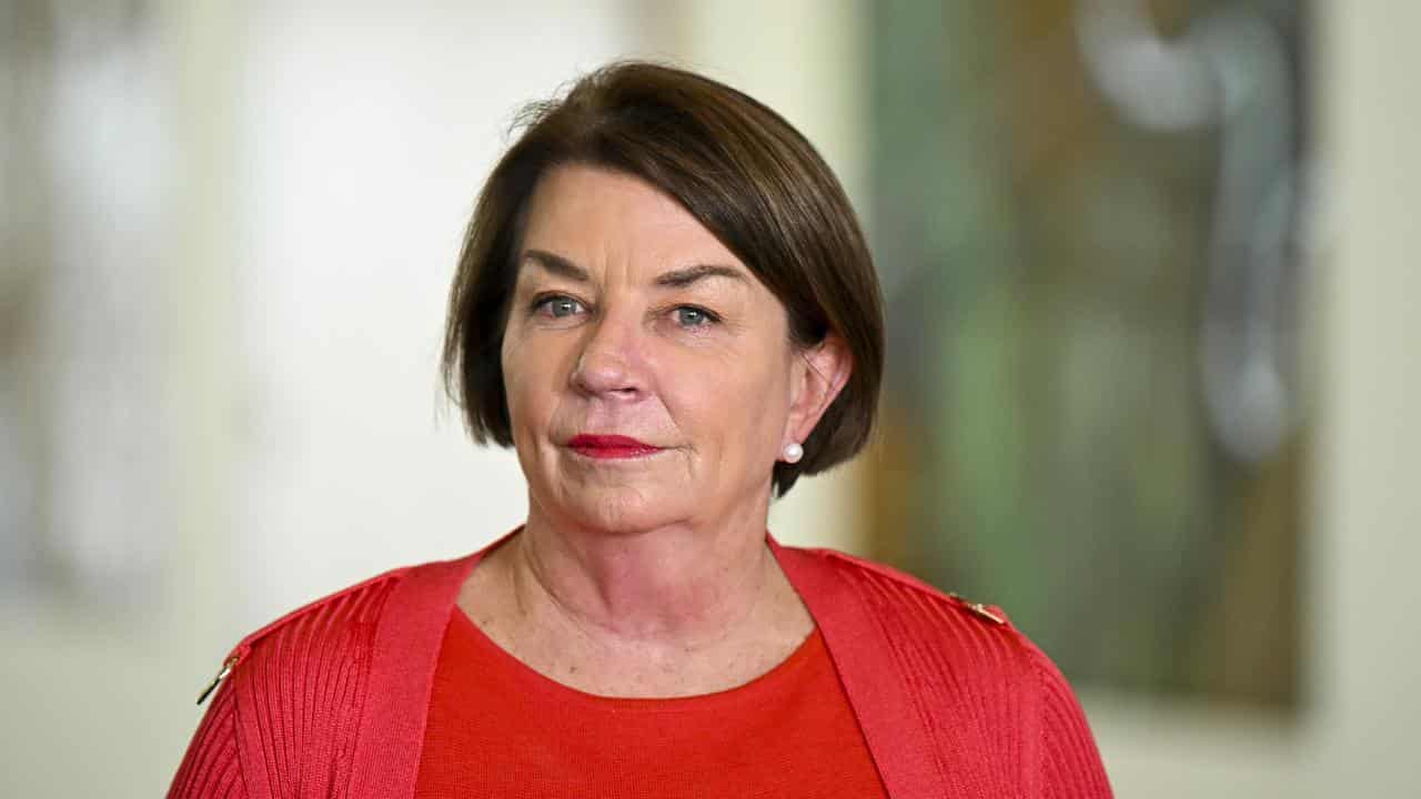 CEO of the Australian Banking Association Anna Bligh