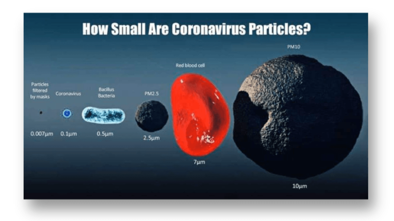 Diagram showing particles of coronavirus, bacteria, blood cells