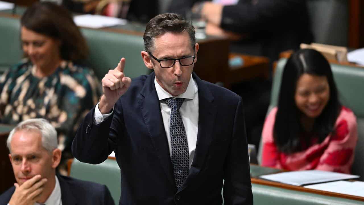 Assistant Treasurer Stephen Jones speaks in parliament