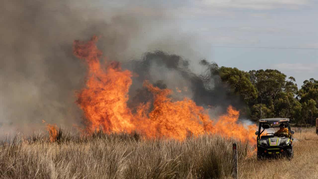 Firefighters conduct back burning on the outskirts of Dunkeld