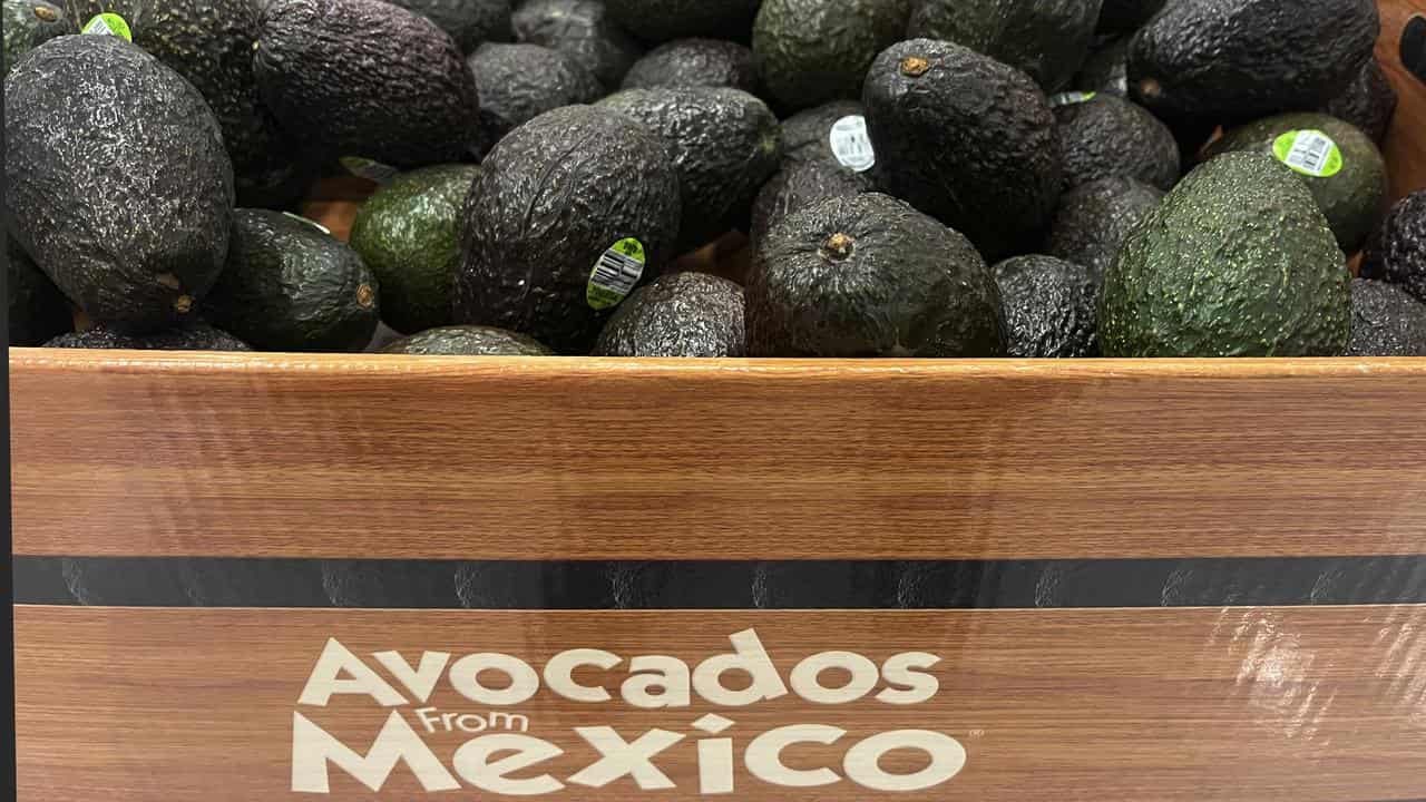 Avocados from Mexico