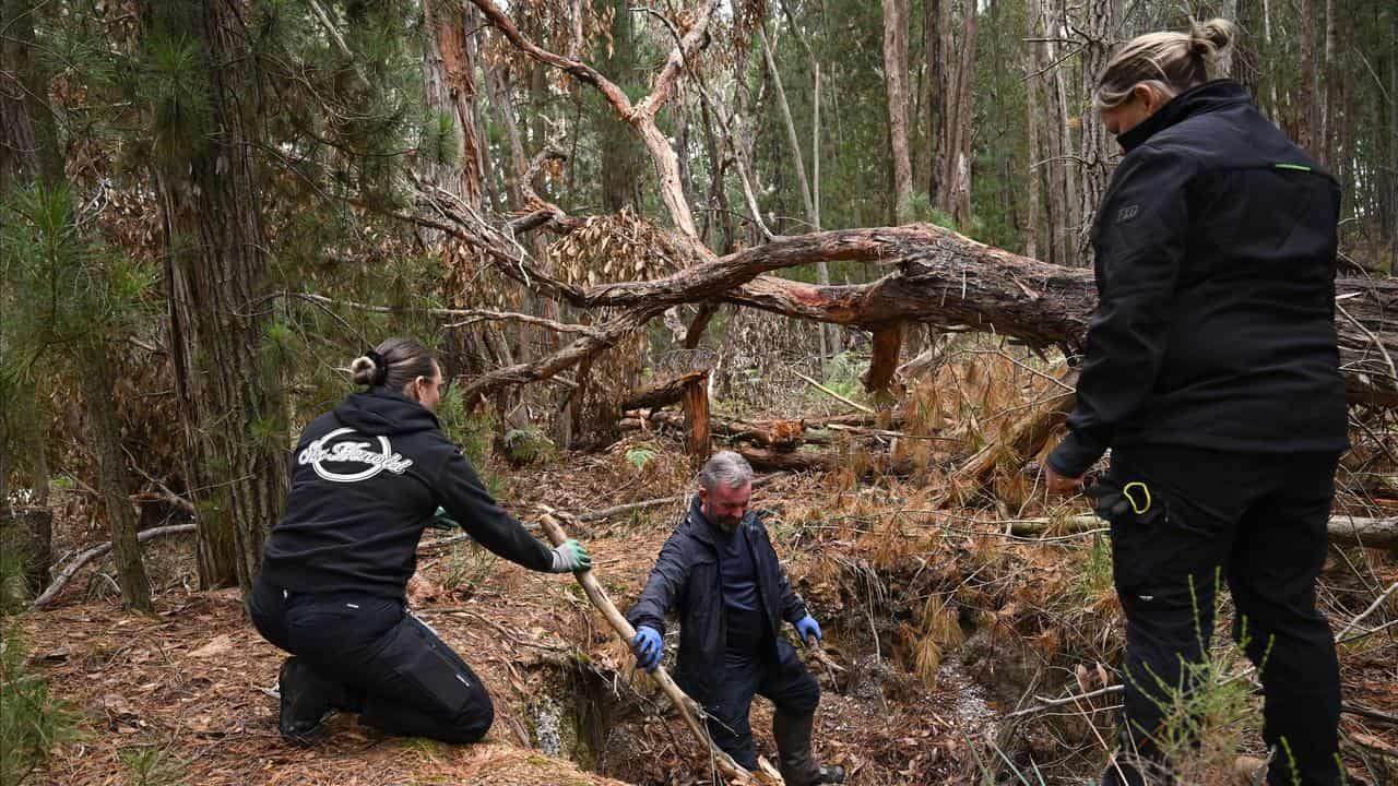 Police use a cadaver dog in the search for the body of Samantha Murphy