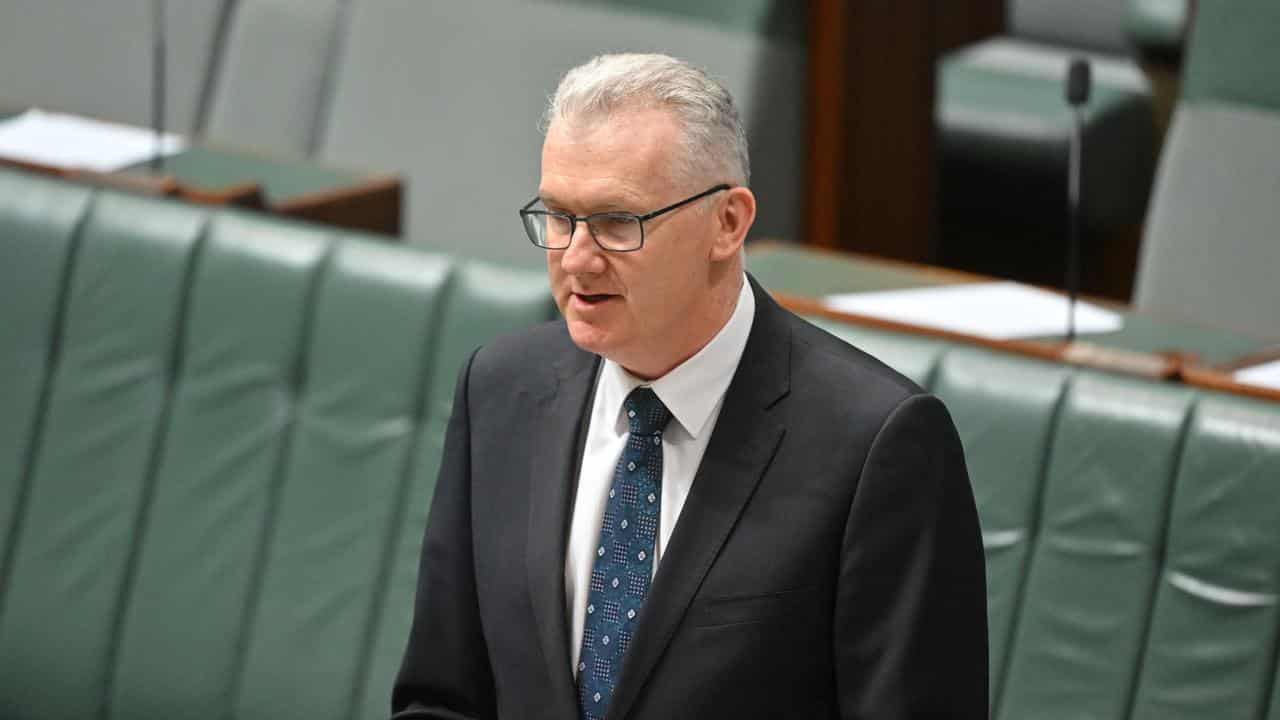 Tony Burke 