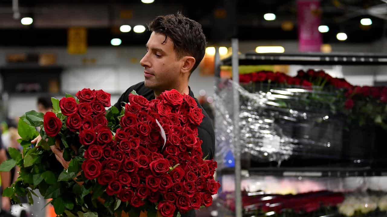 Flower trader at the Sydney Flower Markets