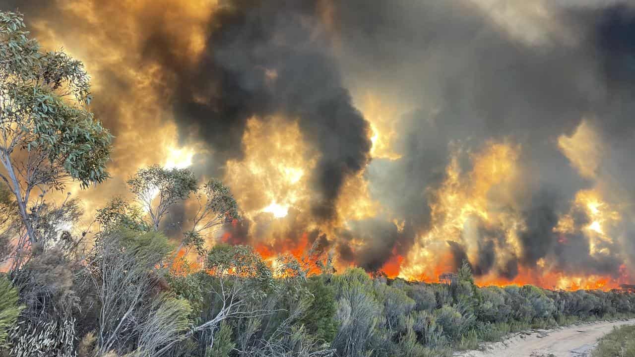 Victorian bushfires