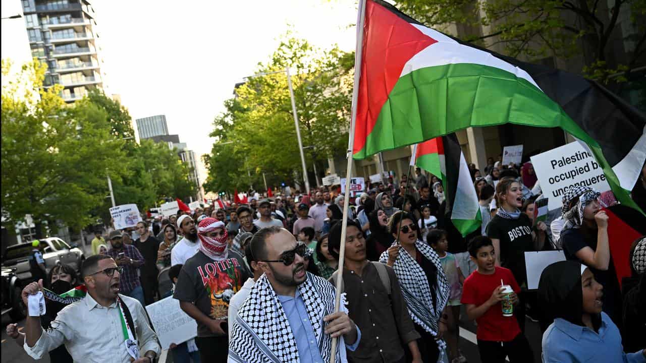 Pro-Palestine protesters