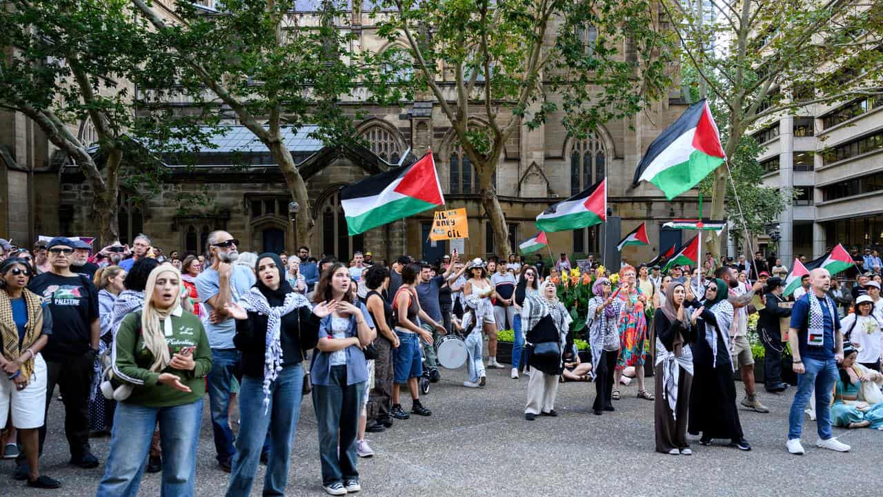 Pro-Palestine protesters