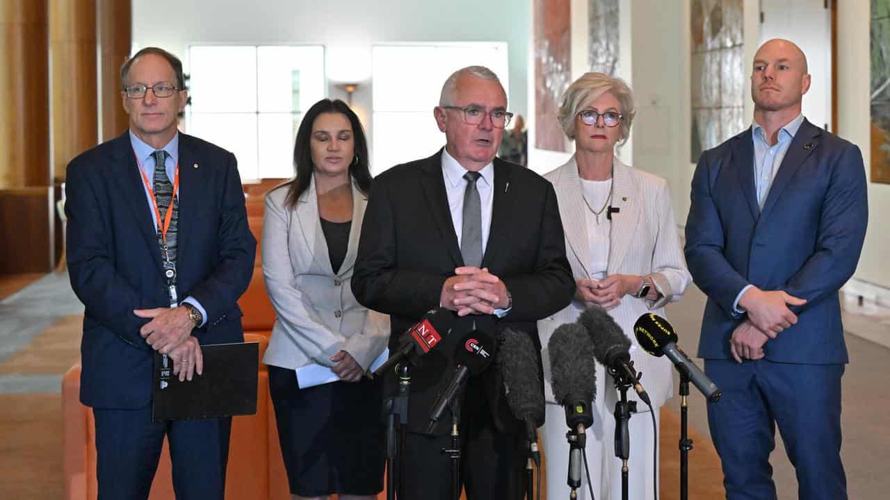 Andrew Wilkie and other independents