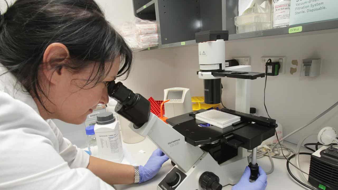 A female scientist (file image)