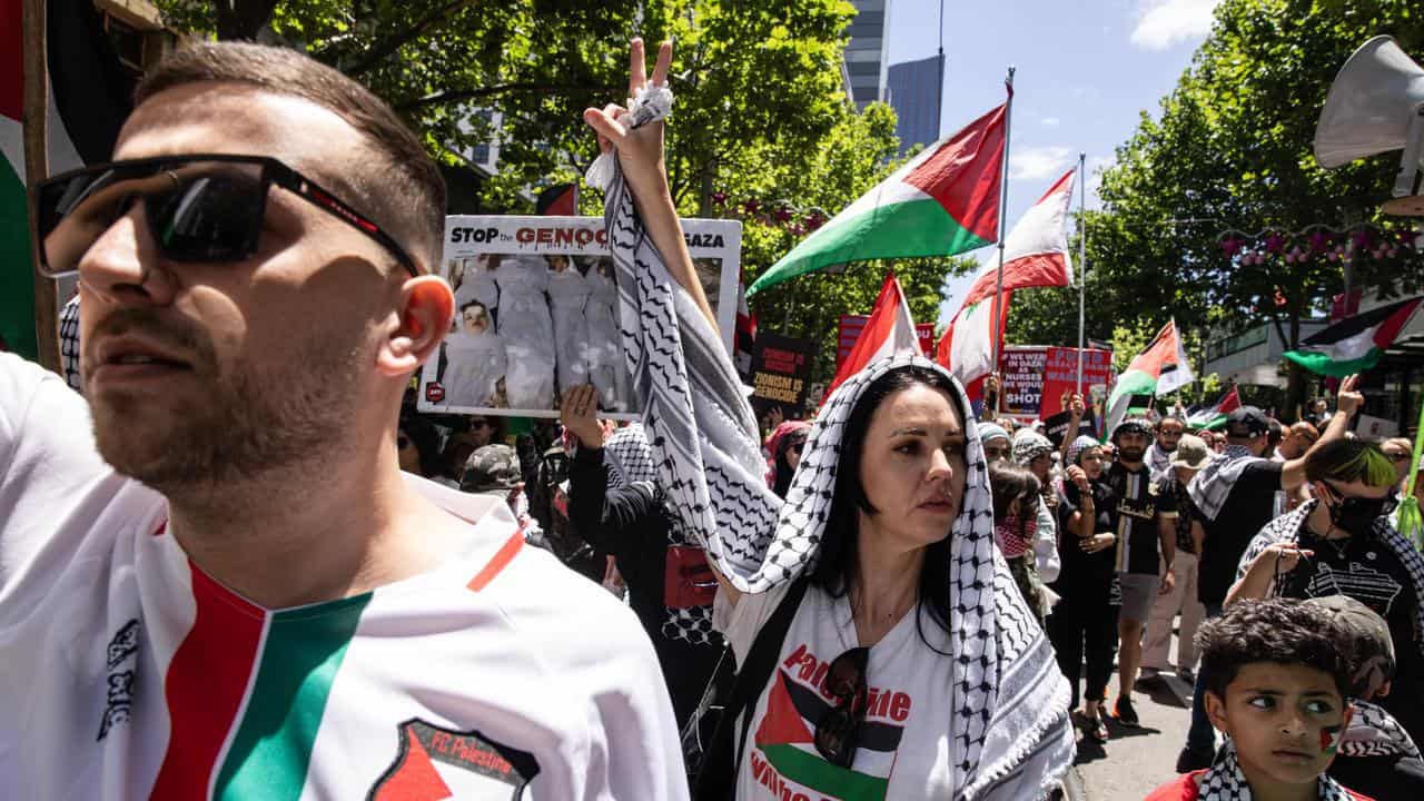 A pro-Palestine rally in Melbourne (file image)