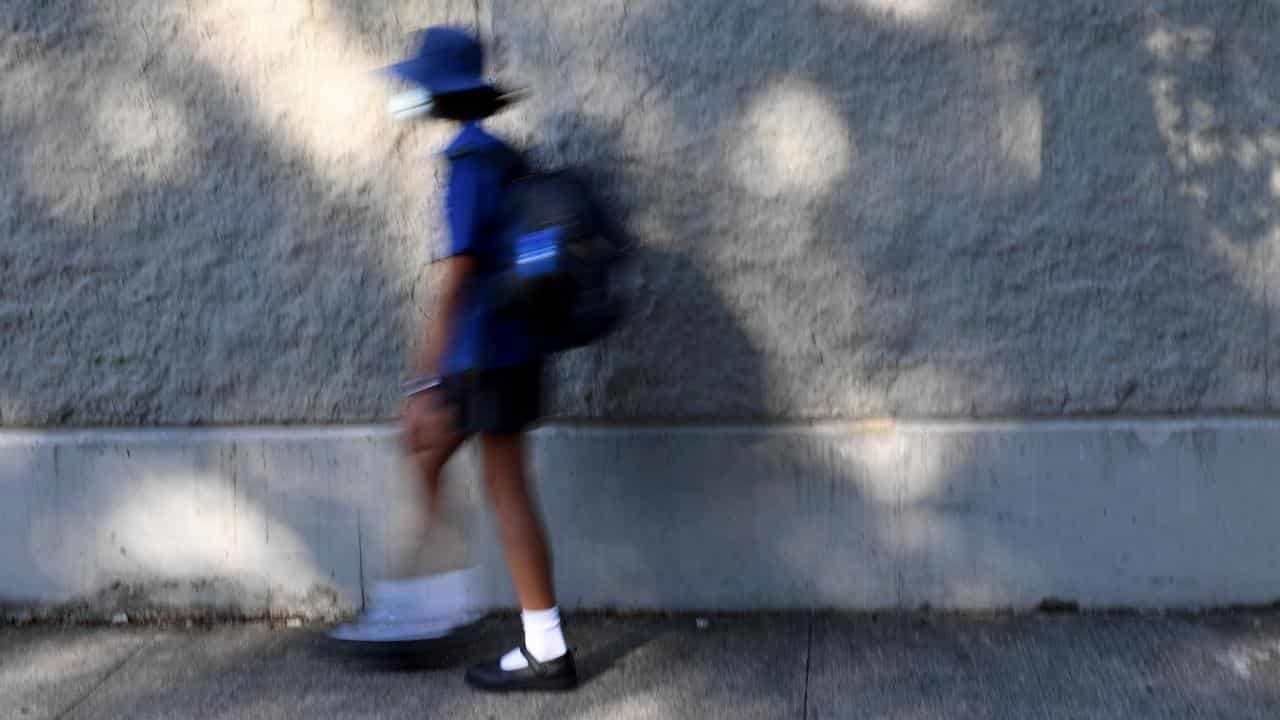 A school student (file image)