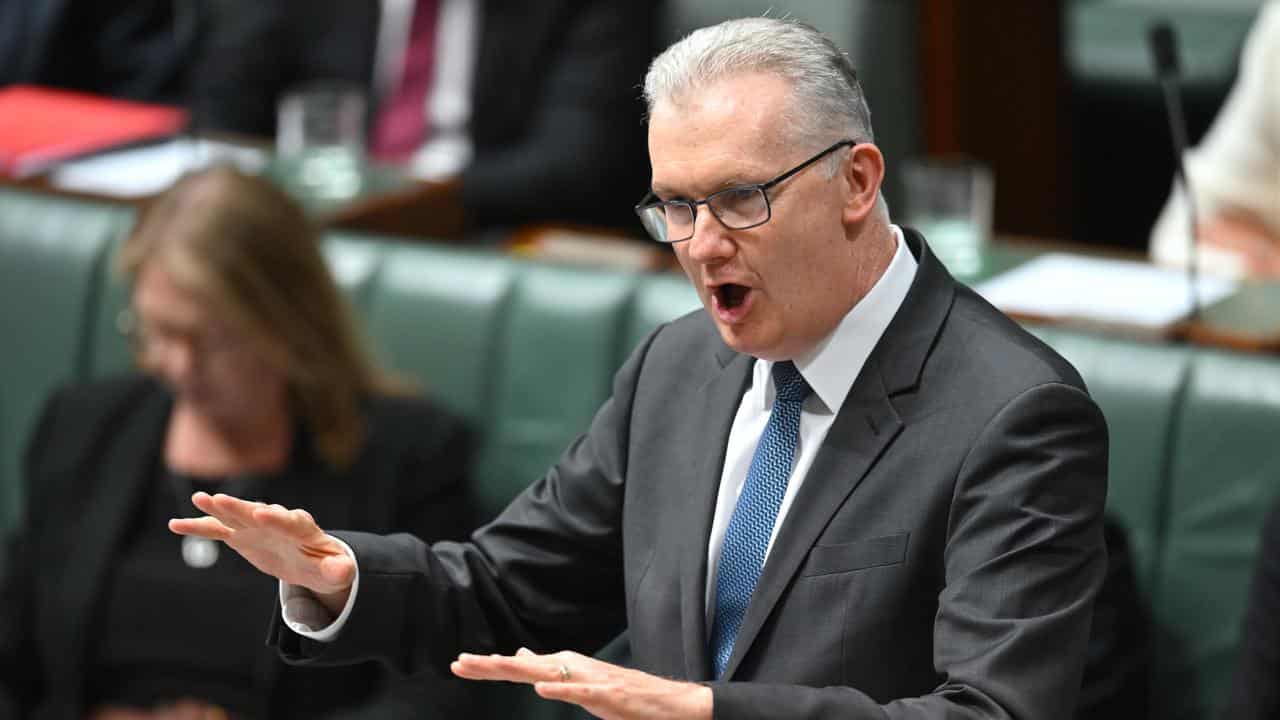 Home Affairs Minister Tony Burke