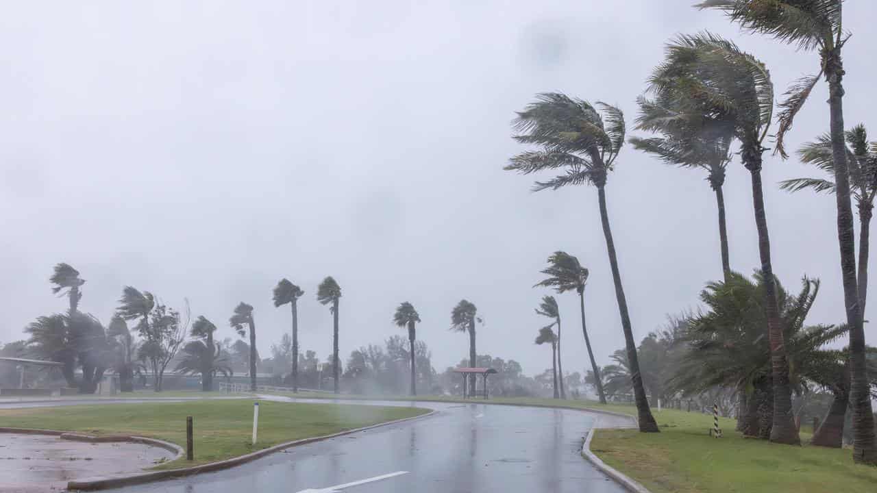 Trees blown by Tropical Cyclone Zelia in Port Hedland