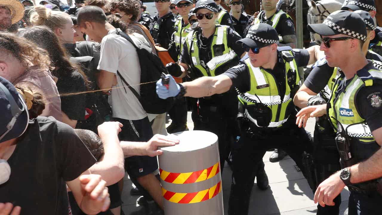 Police use pepper spray on protesters (file image)