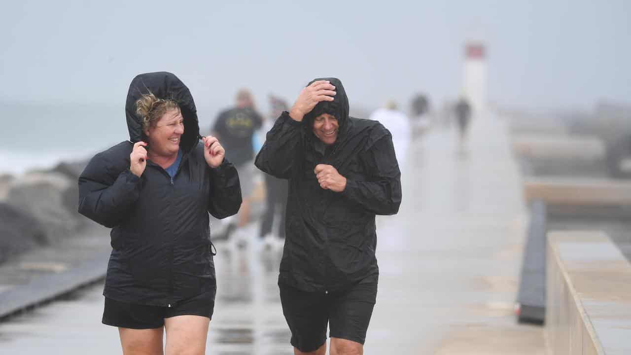 Tropical Cyclone Alfred