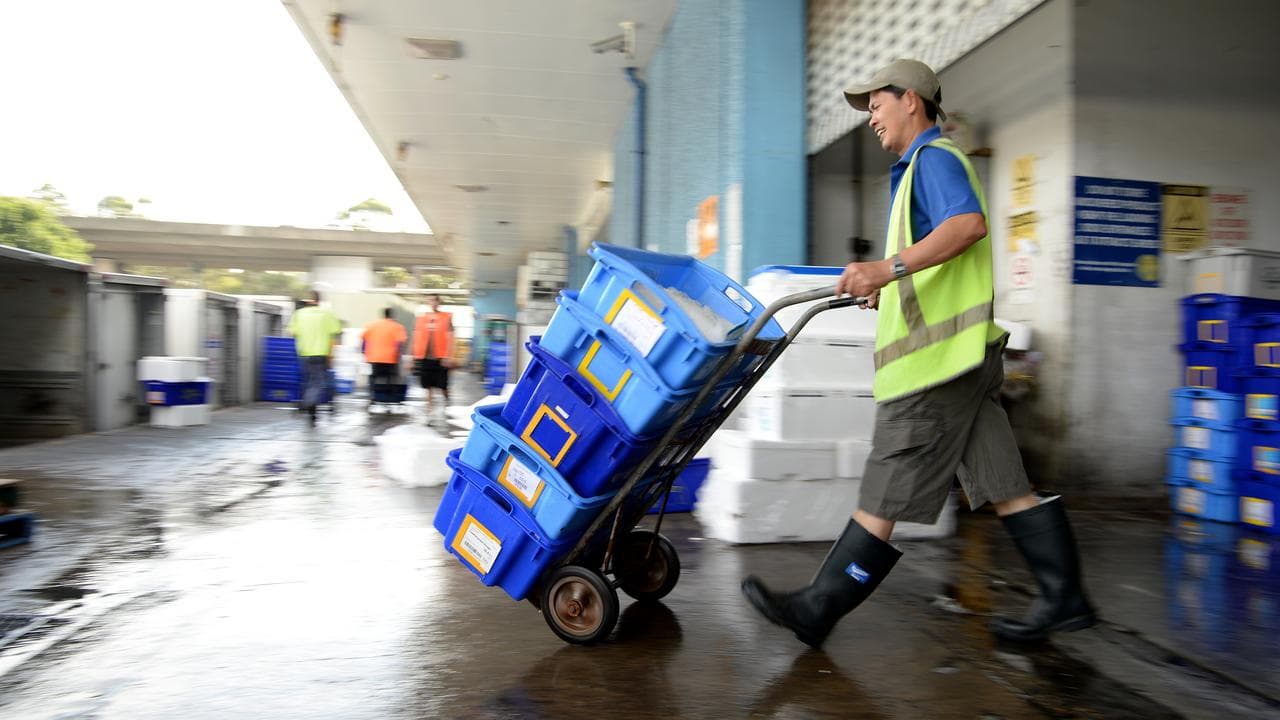 Worker moves crates of seafood on a trolley
