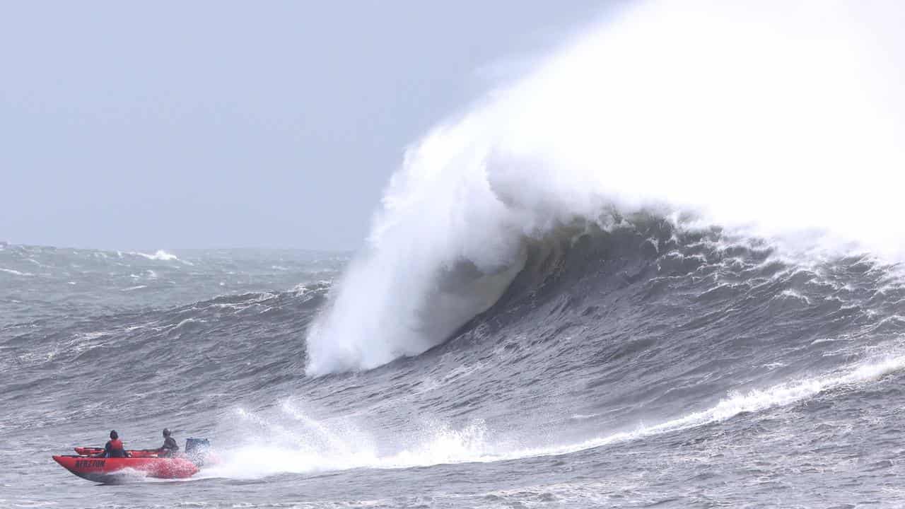 Big waves at Kirra