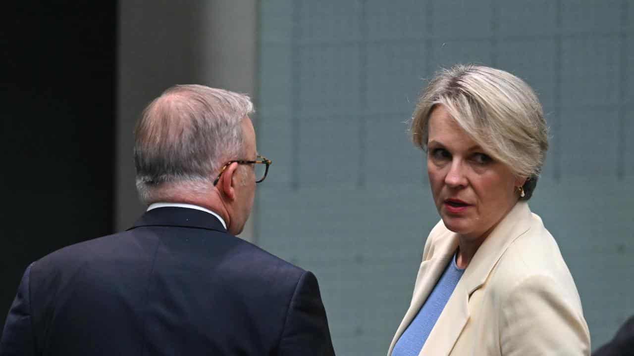 Cabinet minister Tanya Plibersek