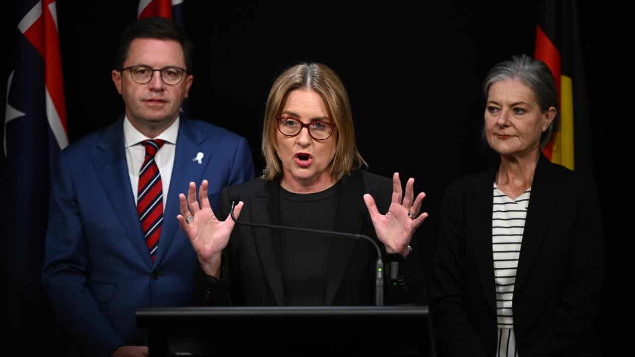 Anthony Carbines, Jacinta Allan and Sonya Kilkenny