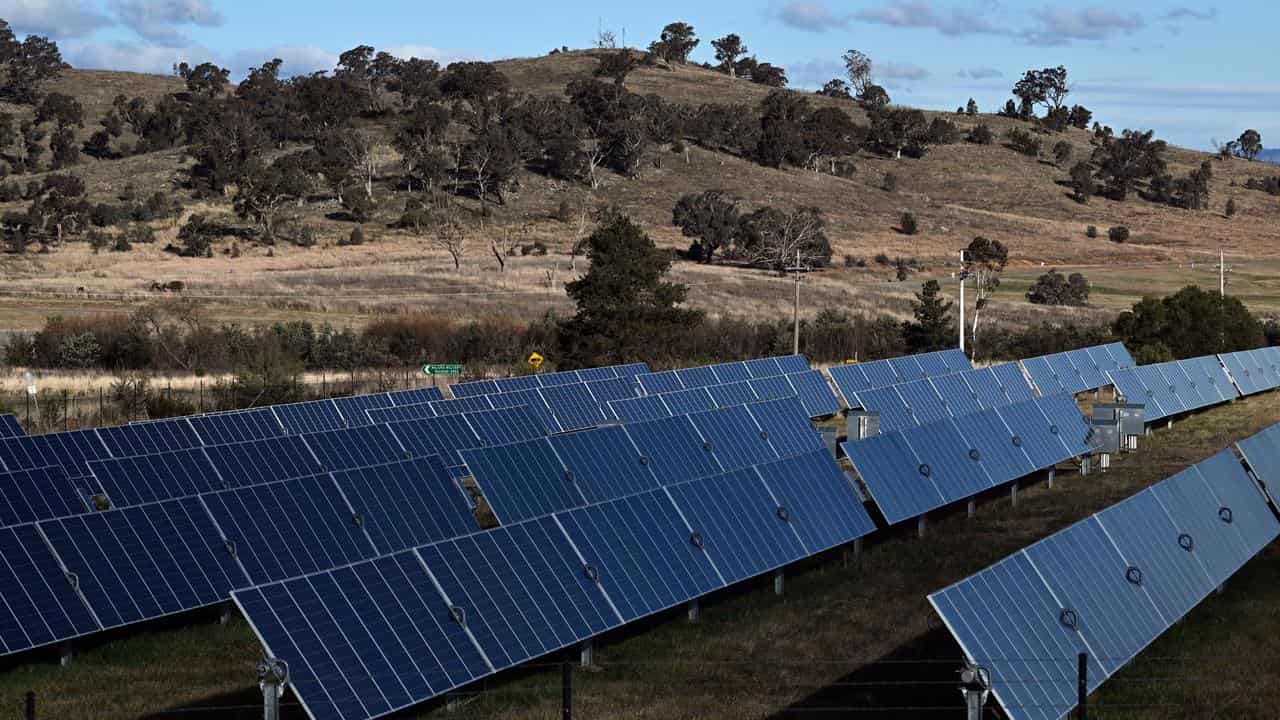 Solar panels are seen at a solar farm (file image)