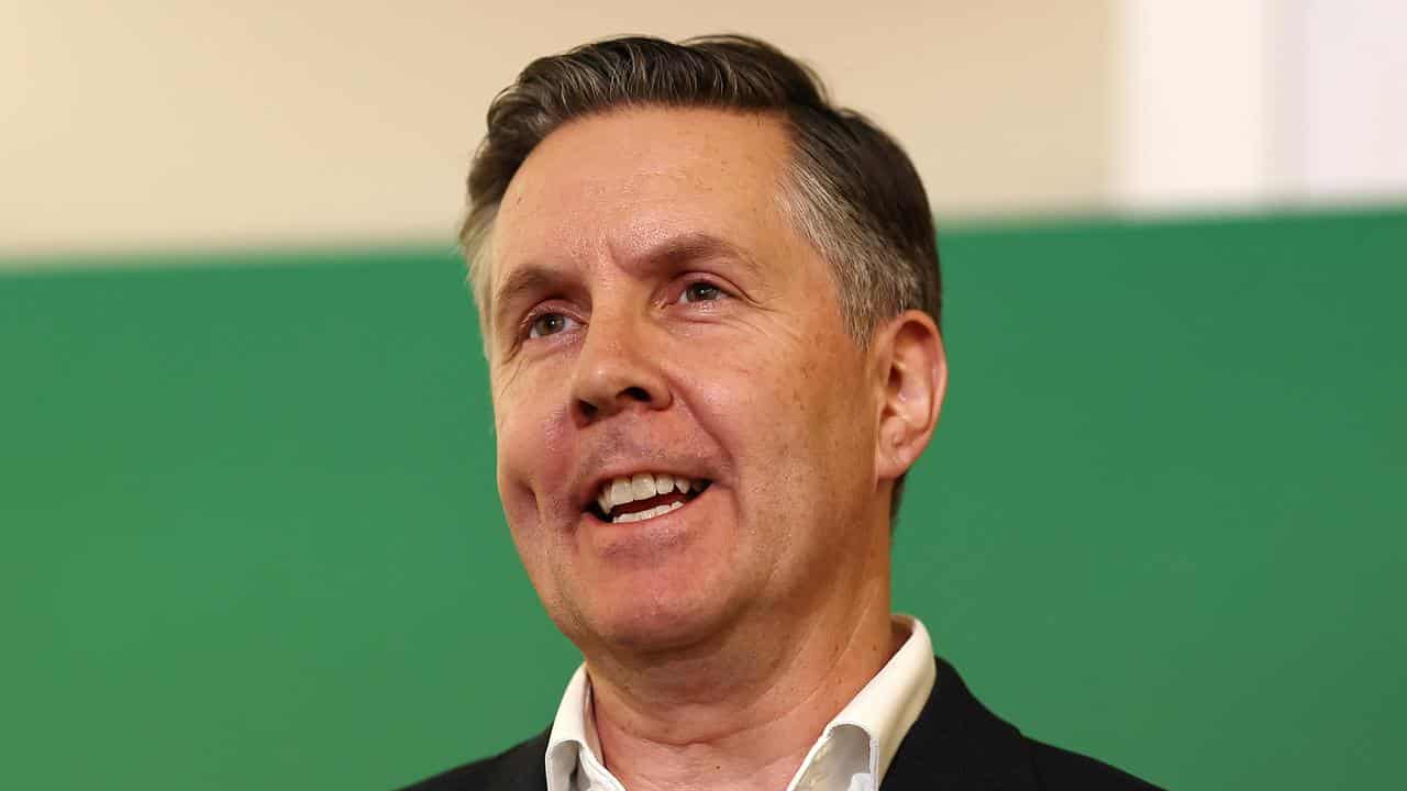 Health Minister Mark Butler (file image)