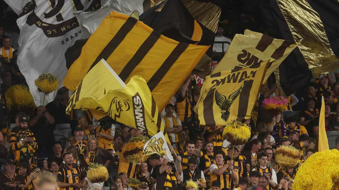 Hawthorn crowds