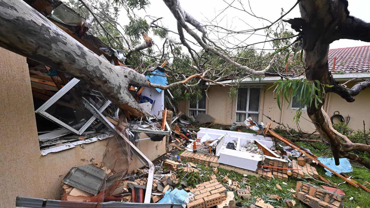 Damage from ex-tropical cyclone Alfred (file image)