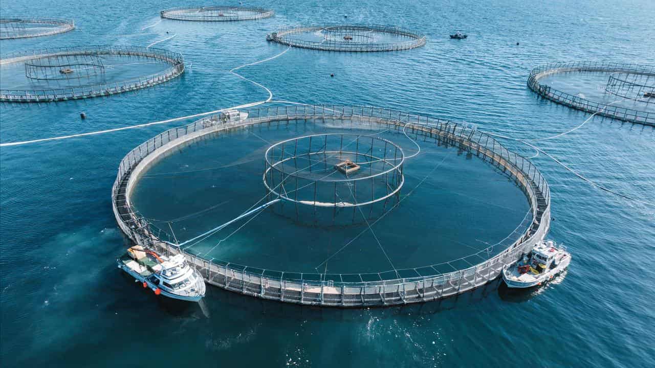 Huon aquaculture operation