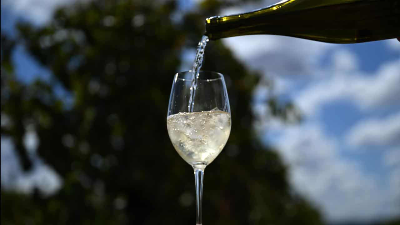 Pecorino wine with ice cubes