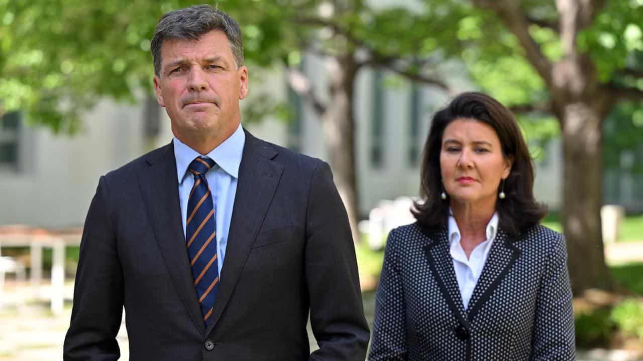 The coalition's Angus Taylor and Jane Hume