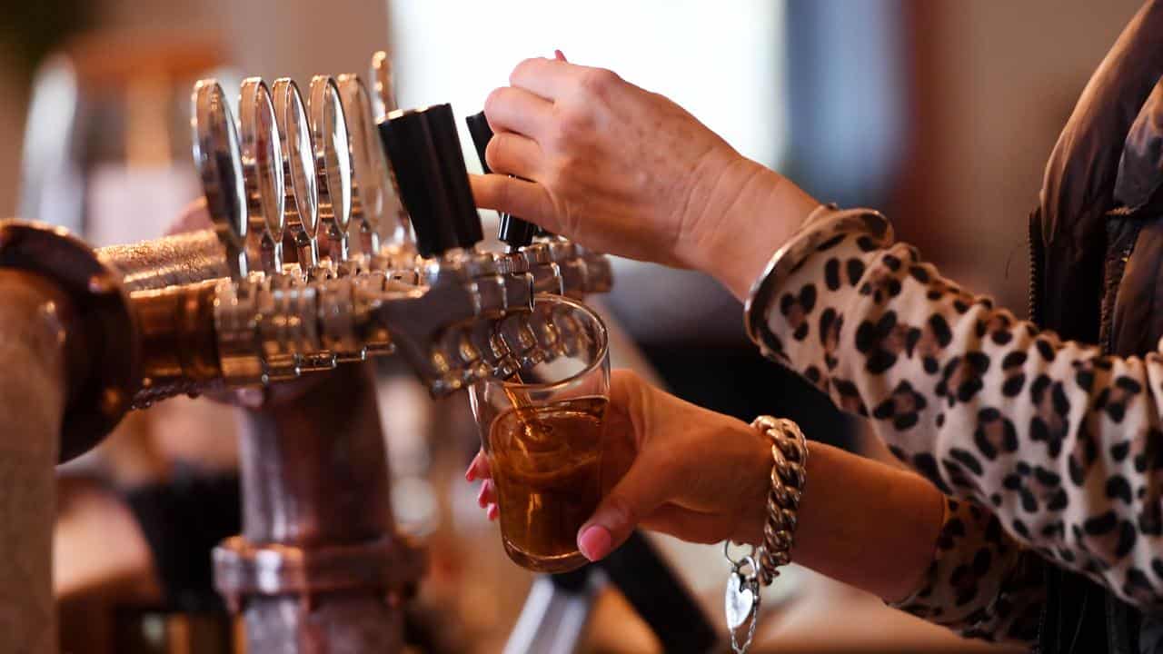 Bartender pours a glass of beer